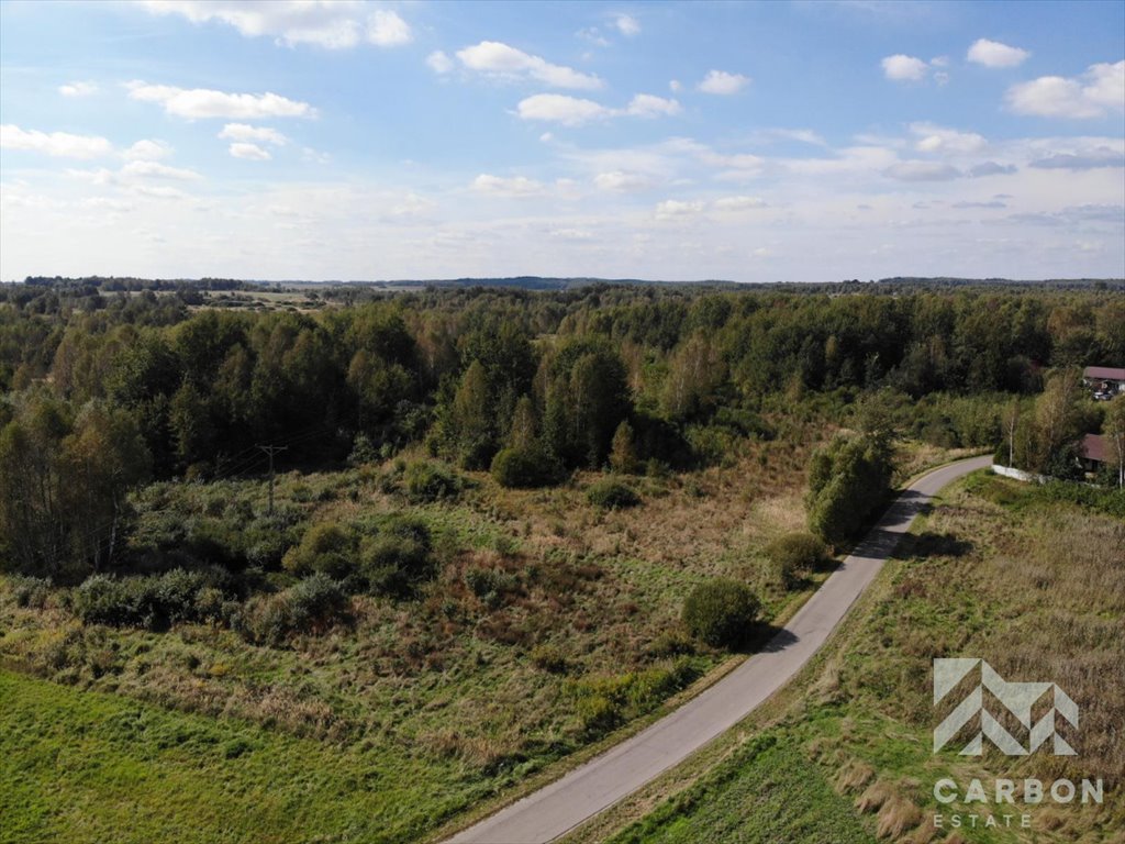 Działka gospodarstwo rolne na sprzedaż Koziegłowy, Rosochacz, Przejazdowa  4 300m2 Foto 4