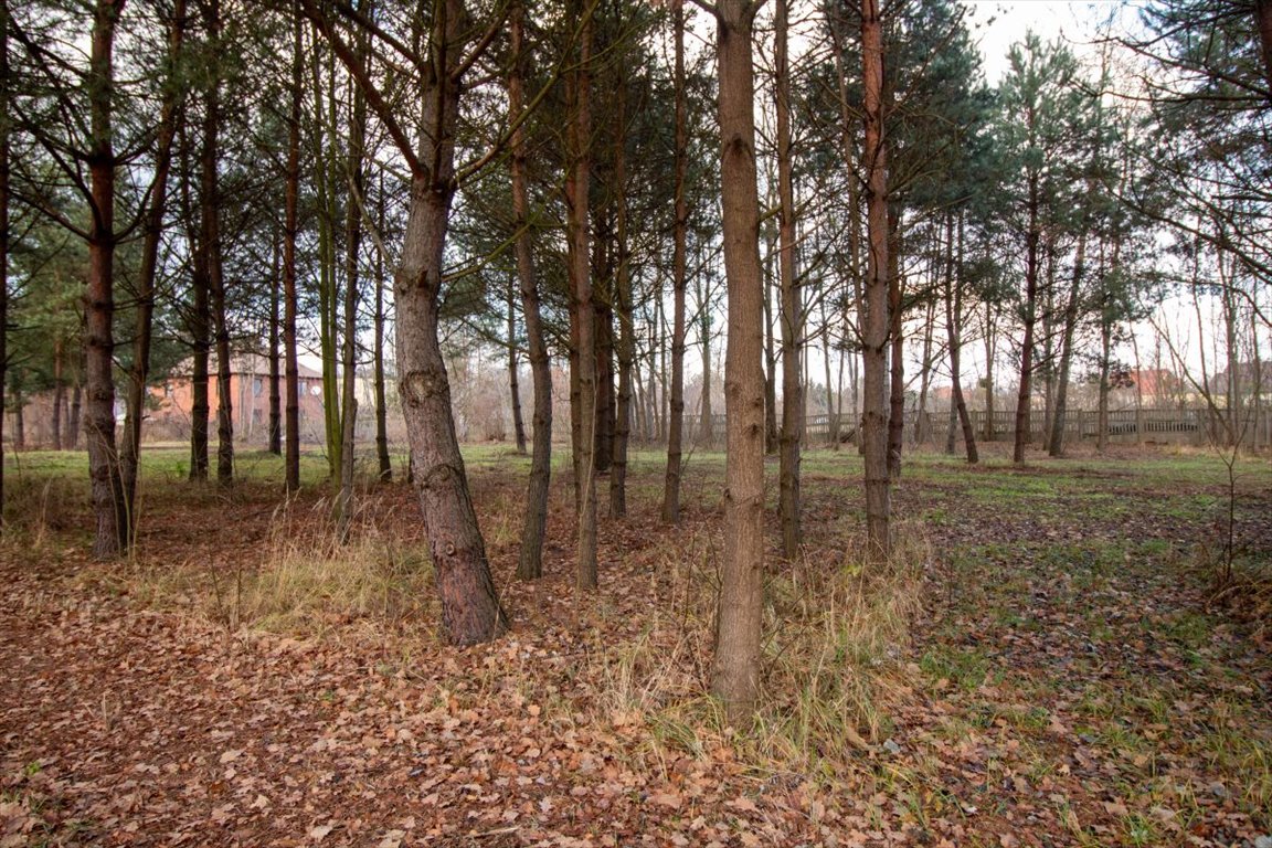 Działka budowlana na sprzedaż Koszęcin, Słowików  500m2 Foto 11