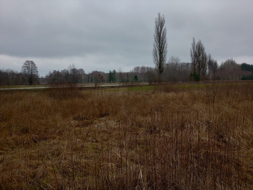 Działka budowlana na sprzedaż Stanisławów  2 920m2 Foto 2