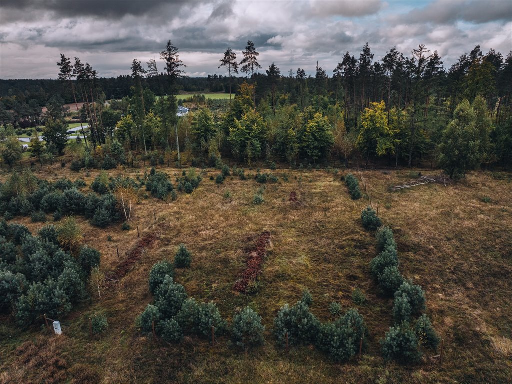 Działka budowlana na sprzedaż Sulęczyno  1 400m2 Foto 1