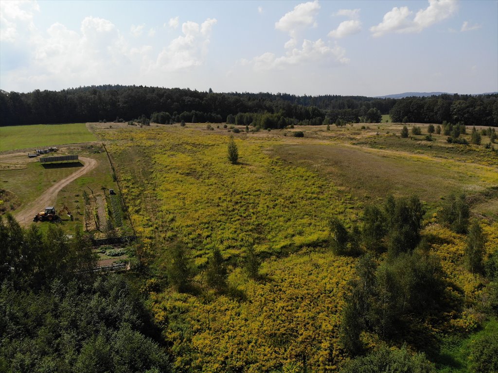 Działka budowlana na sprzedaż Olszyna Dolna  1 403m2 Foto 2