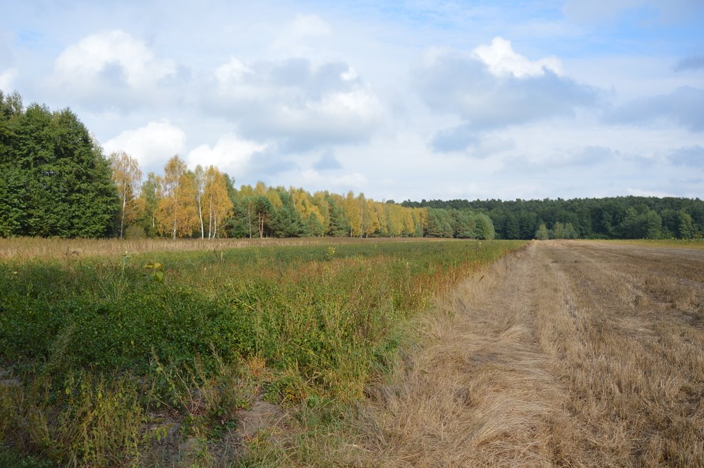 Działka 10 918 m² pod zamieszkanie i działalność w Klarowie Klarów  10 918m2 Foto 1