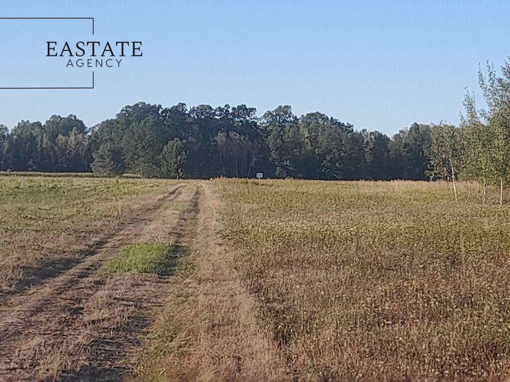 Działka 10 004 m² z możliwością zabudowy - Prażmów Błonie, Południowa  10 004m2 Foto 1