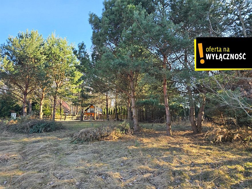 Działka rekreacyjna 633 m² w Życinach – blisko kąpieliska! Życiny  633m2 Foto 1