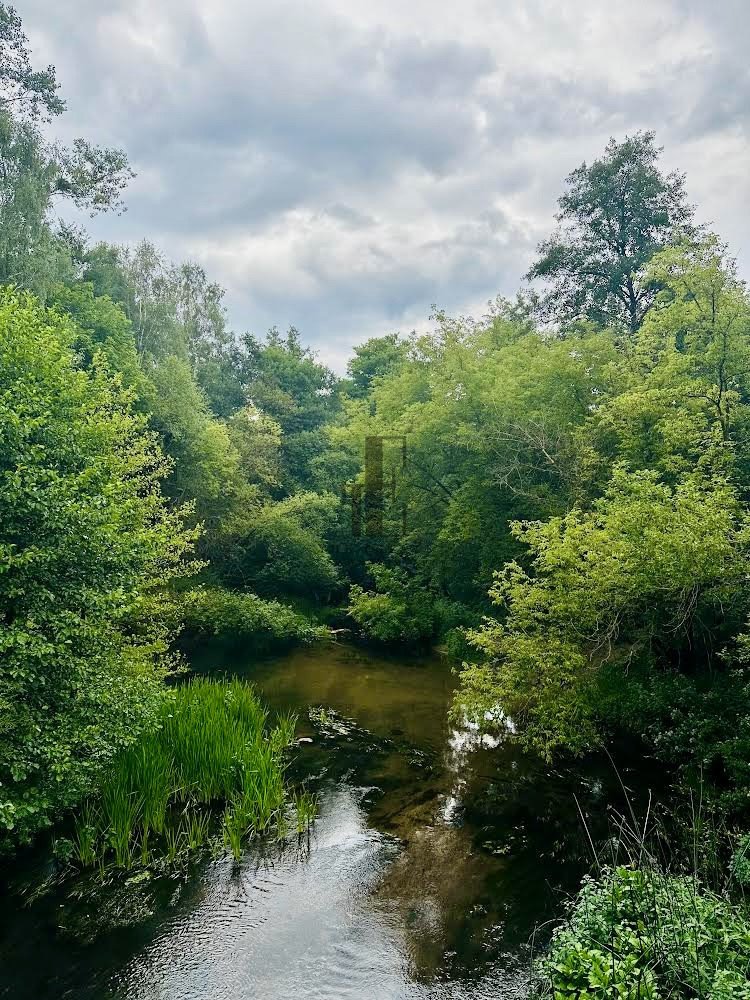 Działka budowlana na sprzedaż Popielżyn Dolny  6 006m2 Foto 3