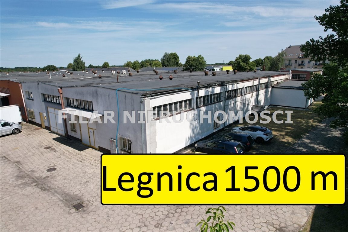 Magazyn 1558 m2 z warsztatem w Legnicy – atrakcyjna oferta Legnica, Czarny Dwór  1 558m2 Foto 1