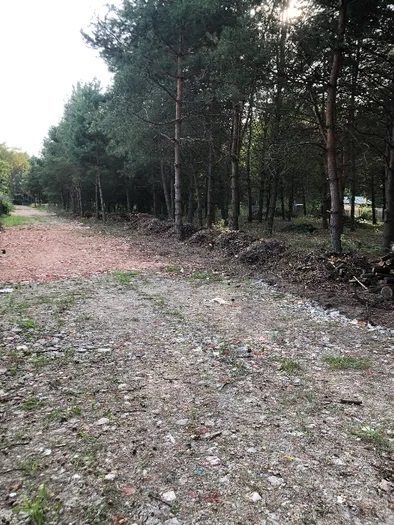 Działka budowlana na sprzedaż Mieszkowo, Mieszkowo  3 000m2 Foto 3