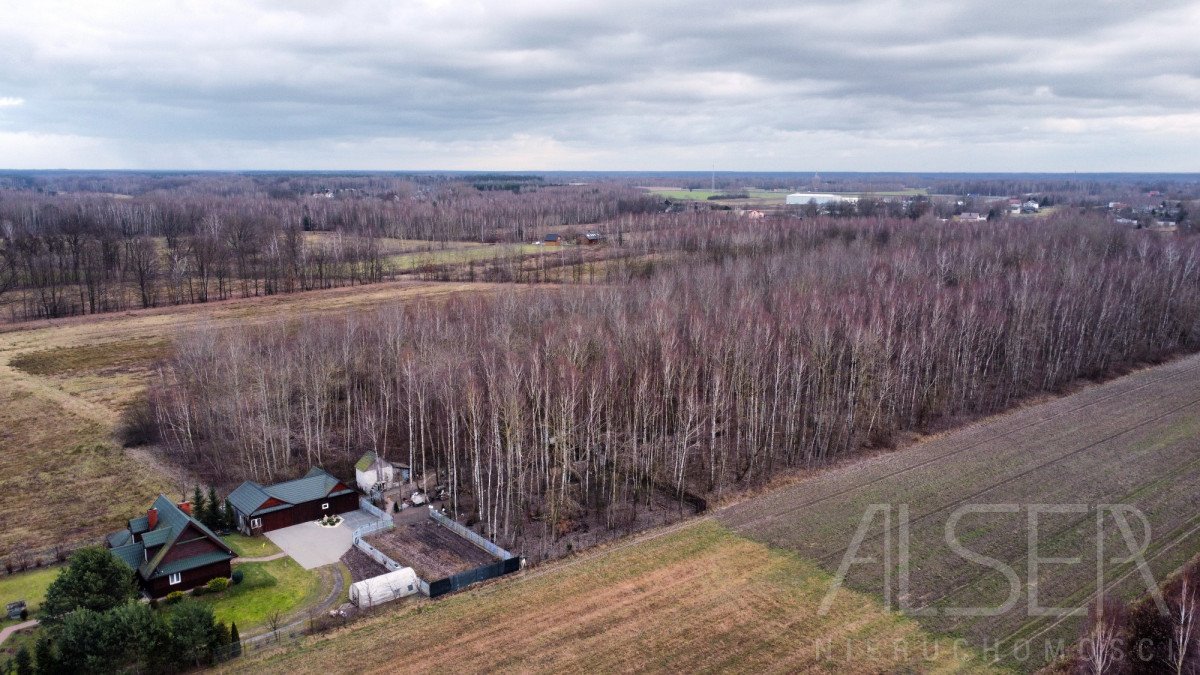 Działka budowlana na sprzedaż Desno  2 764m2 Foto 6