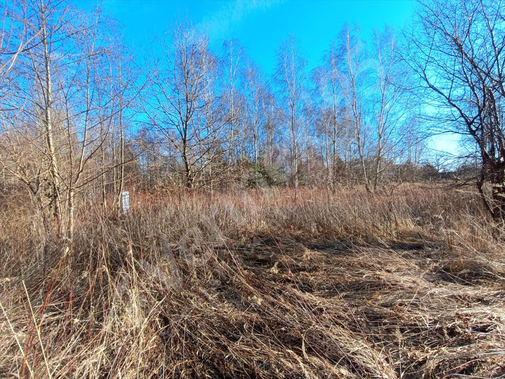 Działka budowlana na sprzedaż Nadolice Wielkie  1 117m2 Foto 7