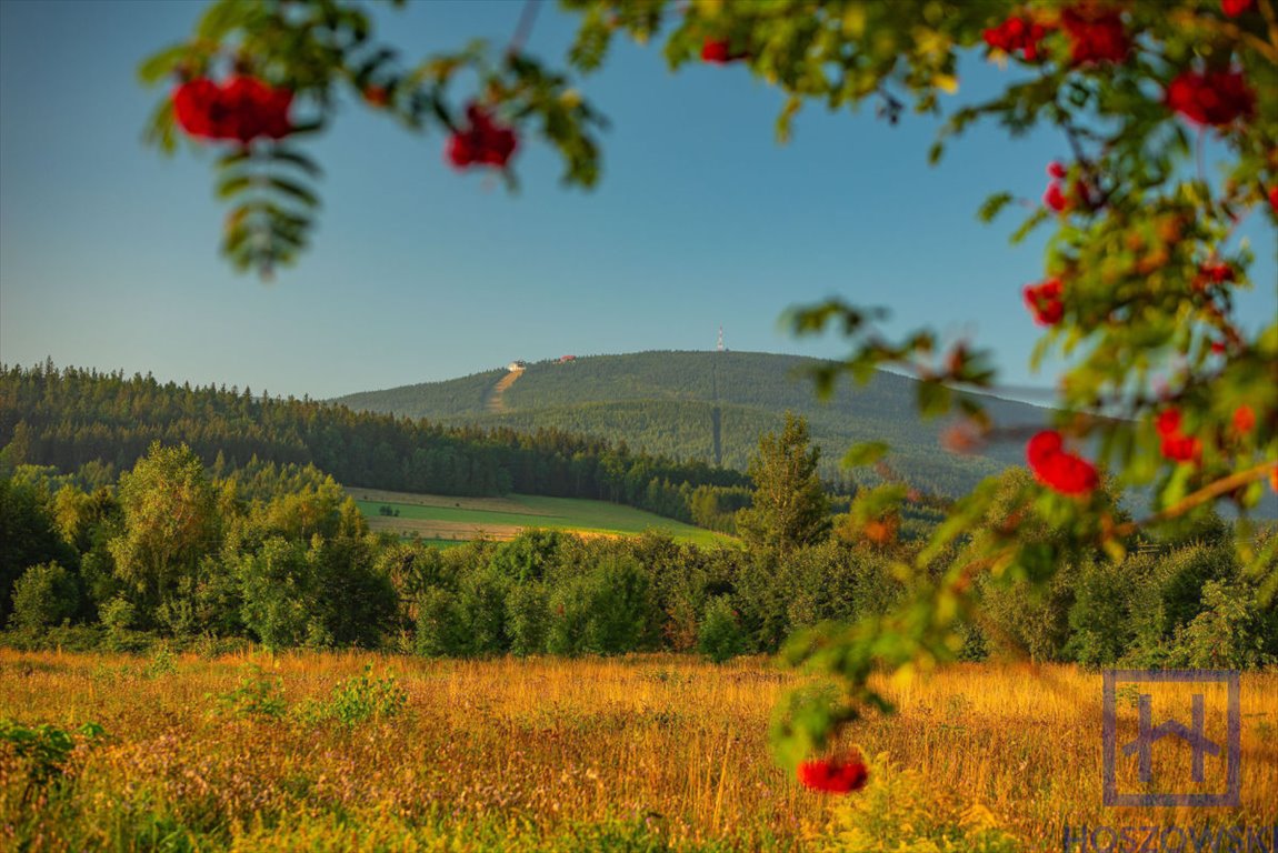 Działka budowlana na sprzedaż Świeradów-Zdrój  800m2 Foto 1