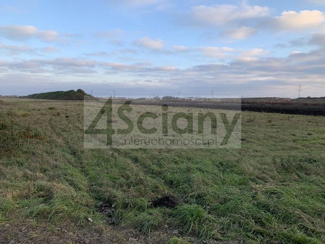 Działka 9900 m² pod inwestycję w Nowej Woli, blisko Piaseczna Nowa Wola  9 900m2 Foto 1