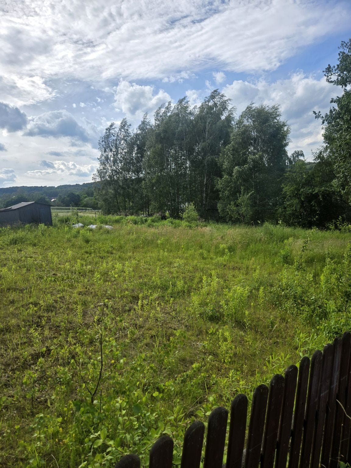 Polecam działkę rolną 1,15 ha z potencjałem rozwoju w Brzoskwini Brzoskwinia  11 500m2 Foto 1