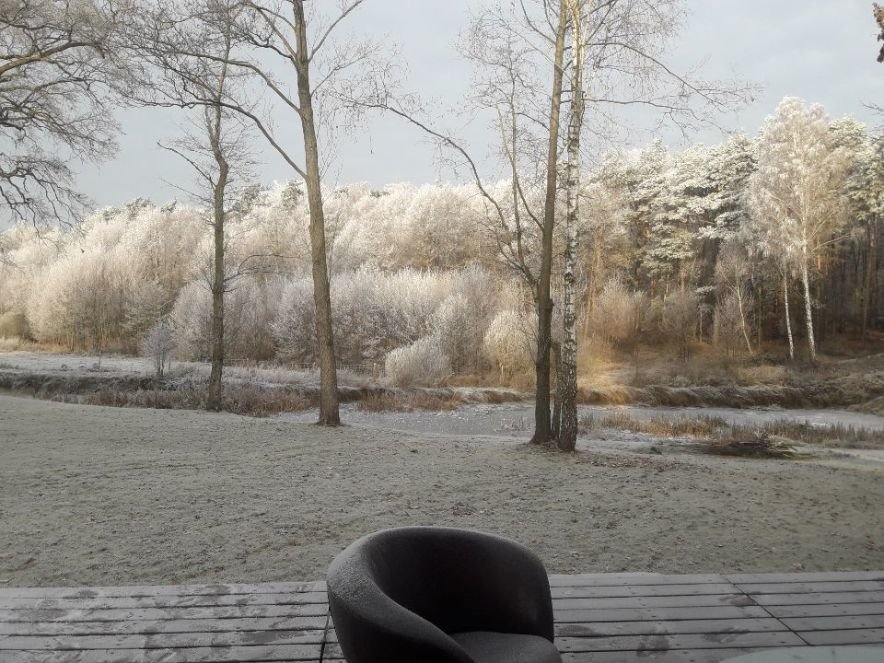 Działka budowlana na sprzedaż Różanki  3 500m2 Foto 3