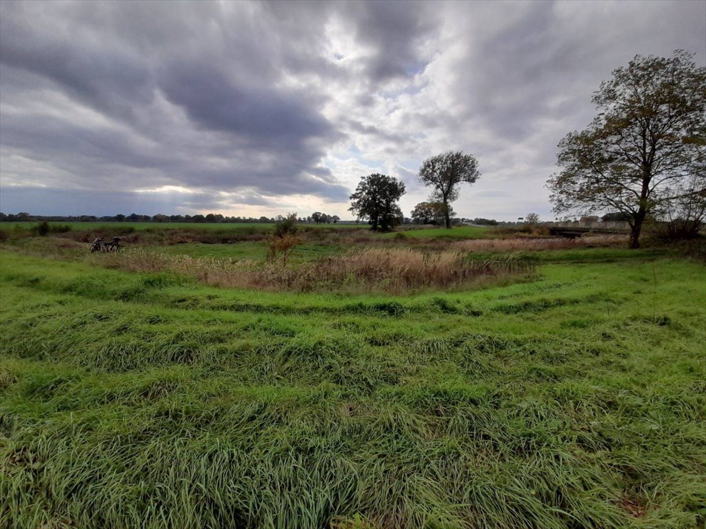 Działka budowlana na sprzedaż Miłkowice, GRZYMALIN  2 300m2 Foto 3