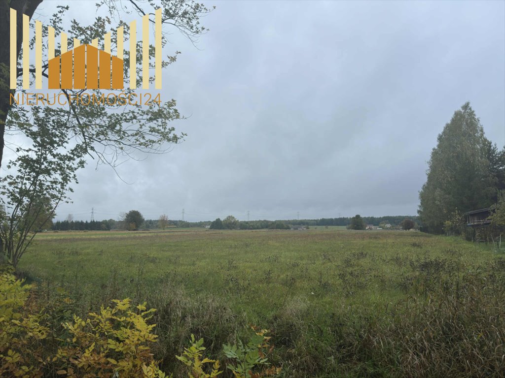 Na sprzedaż duża działka rolna 24 879 m² z dostępem do mediów Huta Kuflewska  24 879m2 Foto 1