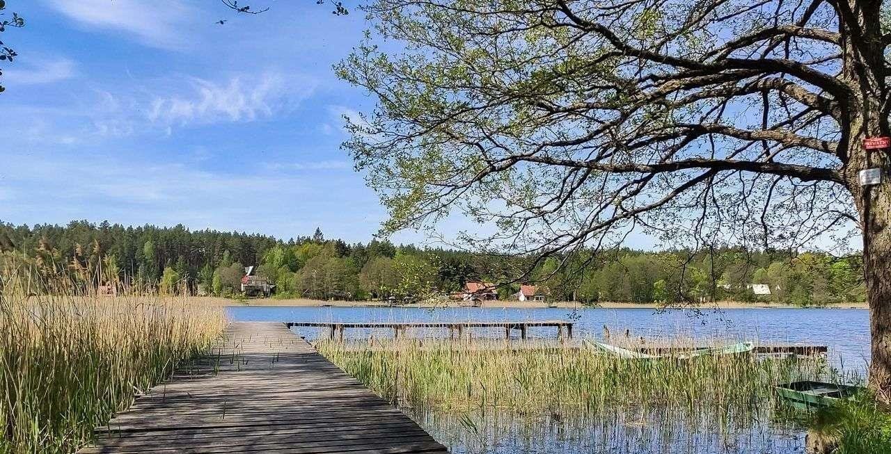 Działka budowlana na sprzedaż Dźwierzuty  5 600m2 Foto 3