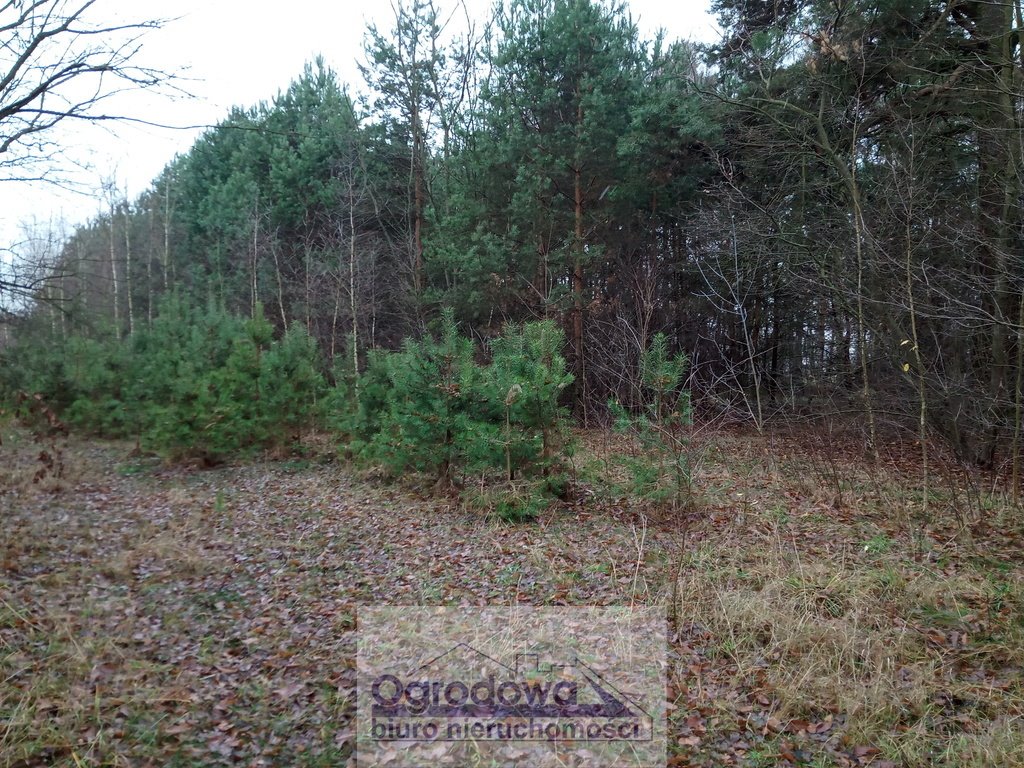Polecam działkę 4573 m² w Nasielsku z dostępem do mediów Nasielsk  4 573m2 Foto 1