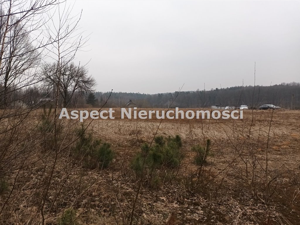 Działka budowlana na sprzedaż Rybnik, Popielów  800m2 Foto 4