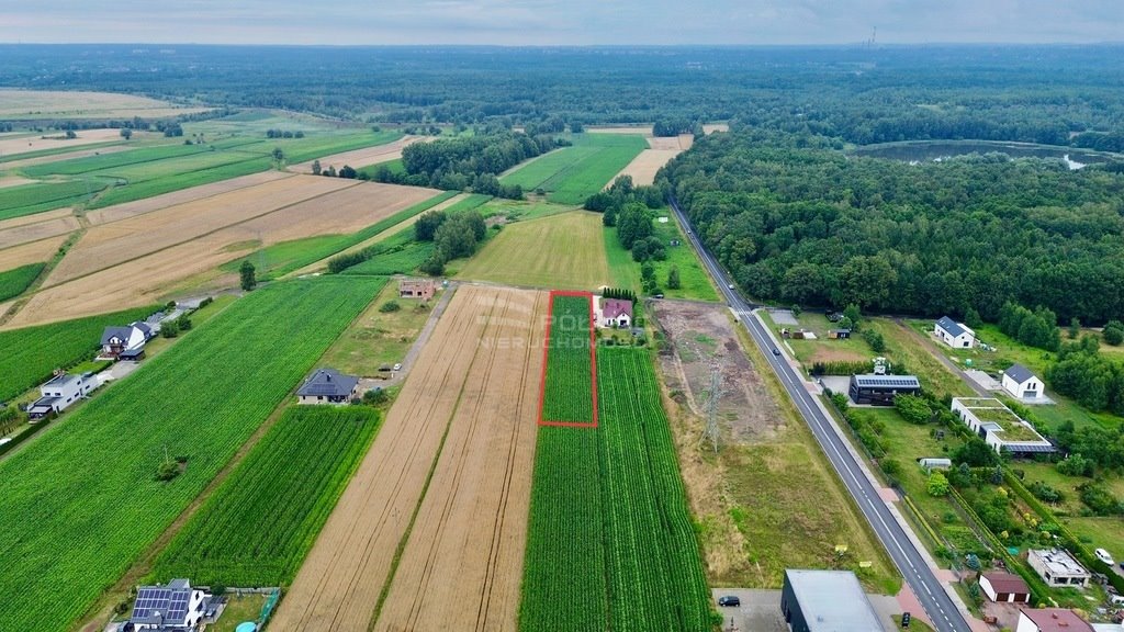 Działka budowlana na sprzedaż Paniówki, Skotnicka  2 500m2 Foto 8