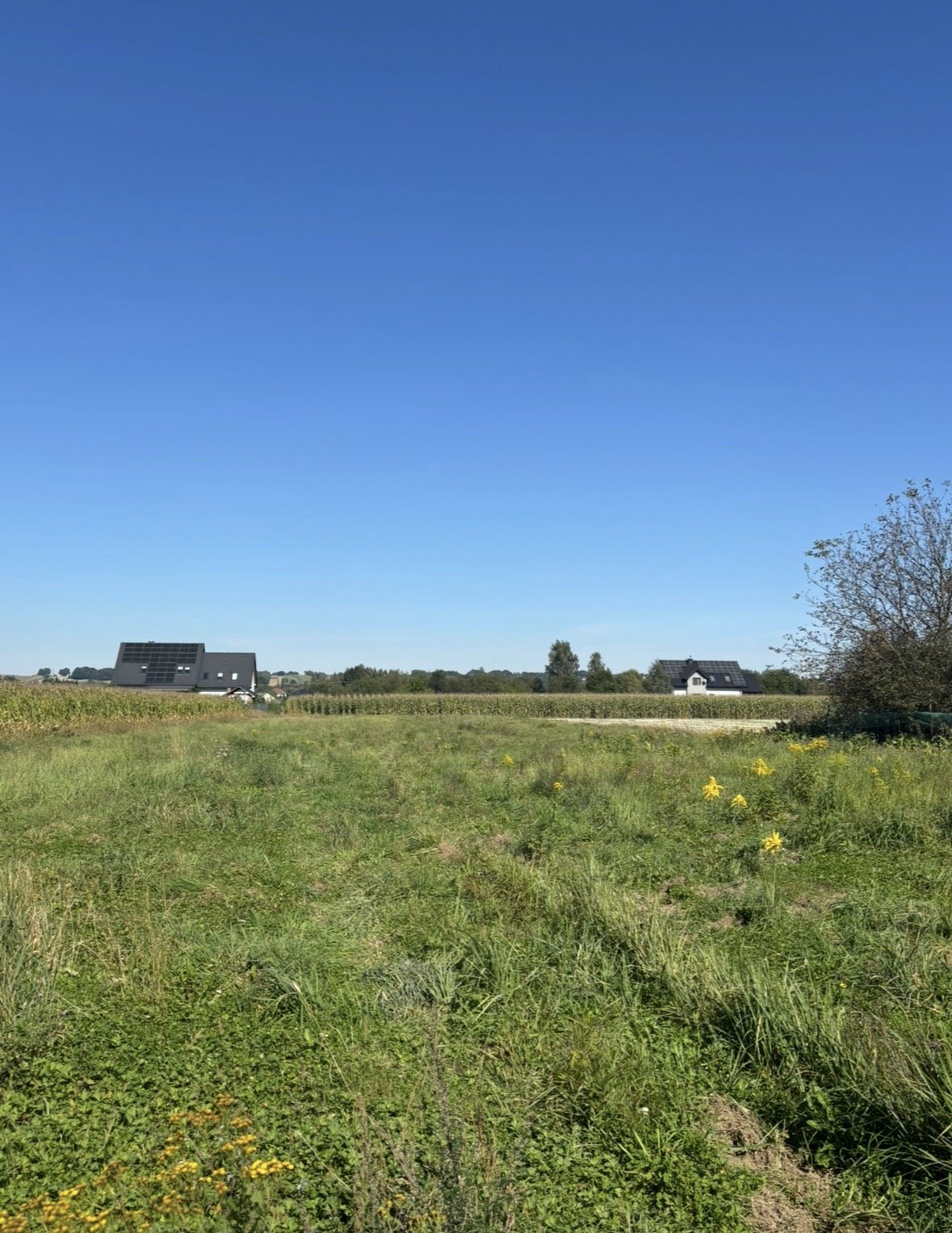 Działka budowlana na sprzedaż Czernichów  4 000m2 Foto 1