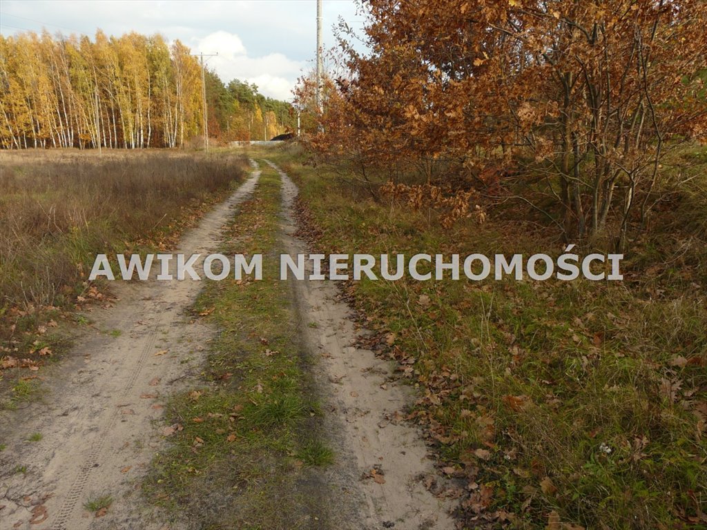Działka budowlana 1202 m² w Puszczy Mariańskiej - polecam Puszcza Mariańska  1 202m2 Foto 1