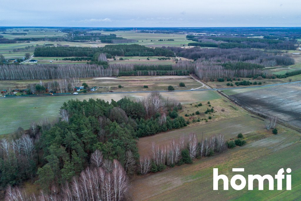 Działka budowlana na sprzedaż Zakrzówek-Kolonia  11 138m2 Foto 16