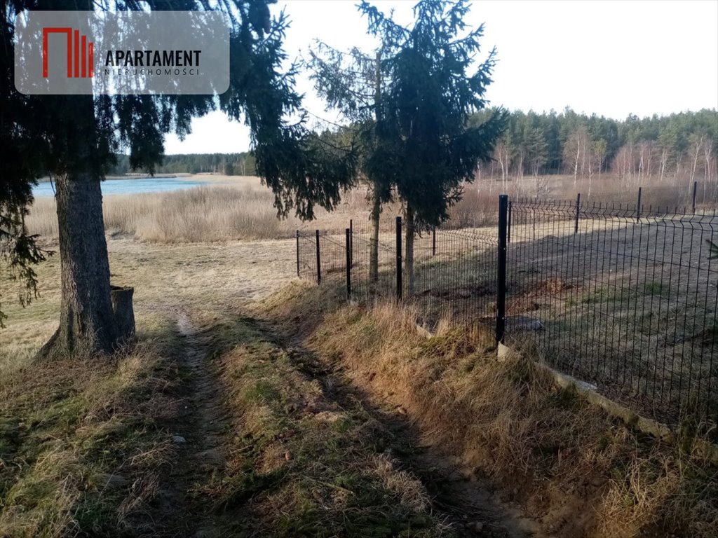 Działka gospodarstwo rolne na sprzedaż Płocice  3 750m2 Foto 3