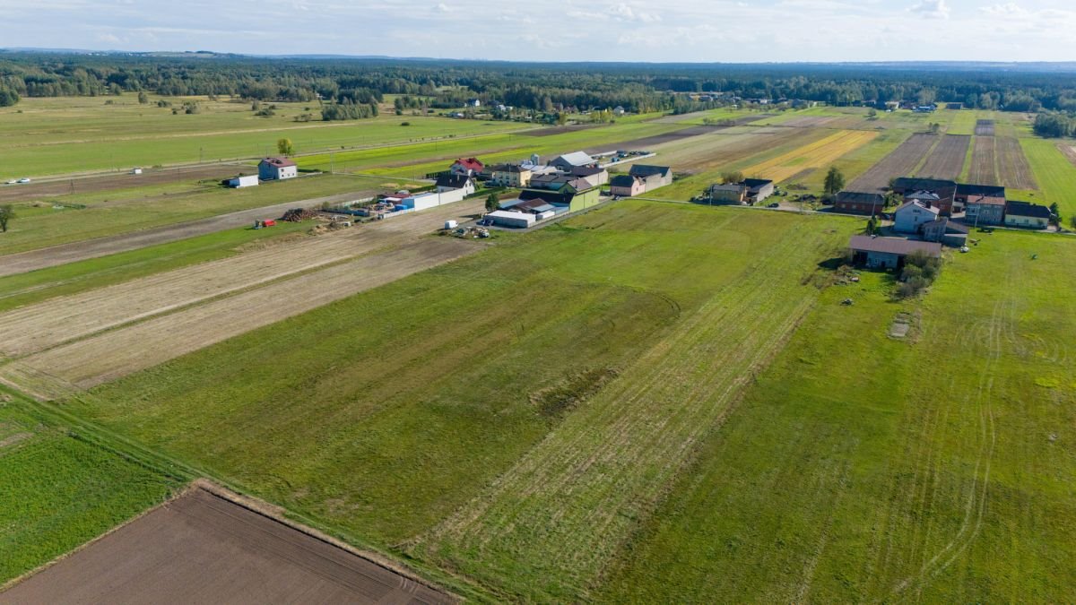 Działka budowlana na sprzedaż Cynków, Łazy  6 414m2 Foto 9