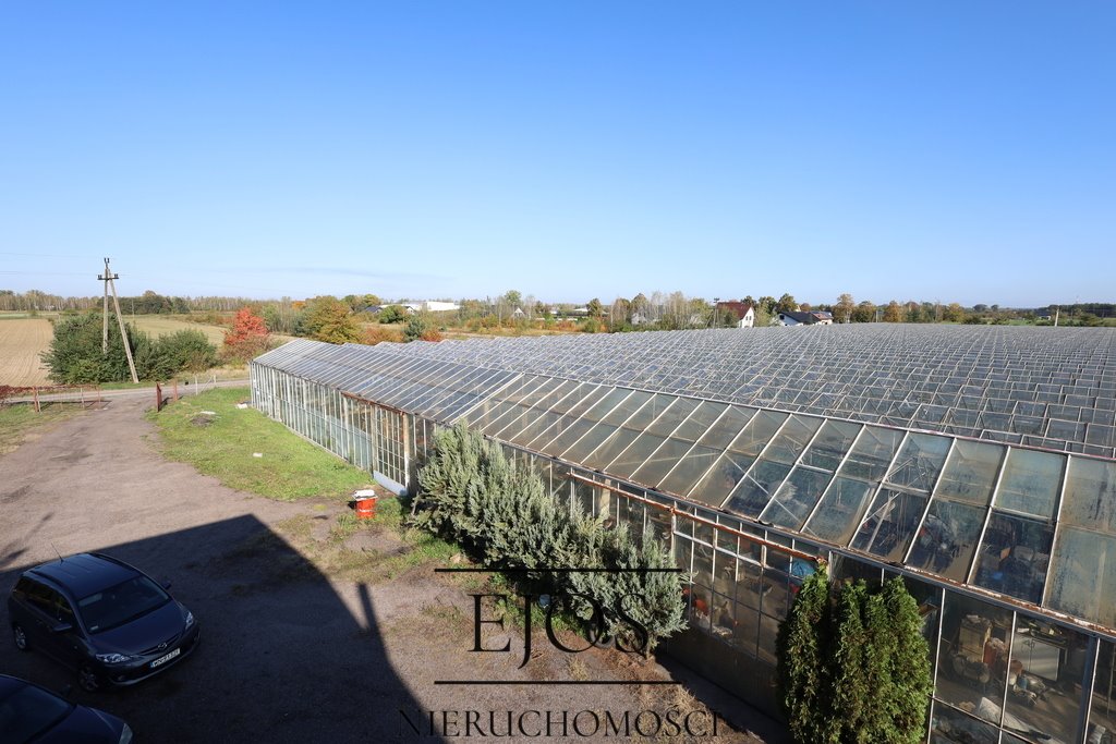 Gospodarstwo z domem 500 m2, szklarniami i garażem Warszawice  500m2 Foto 1