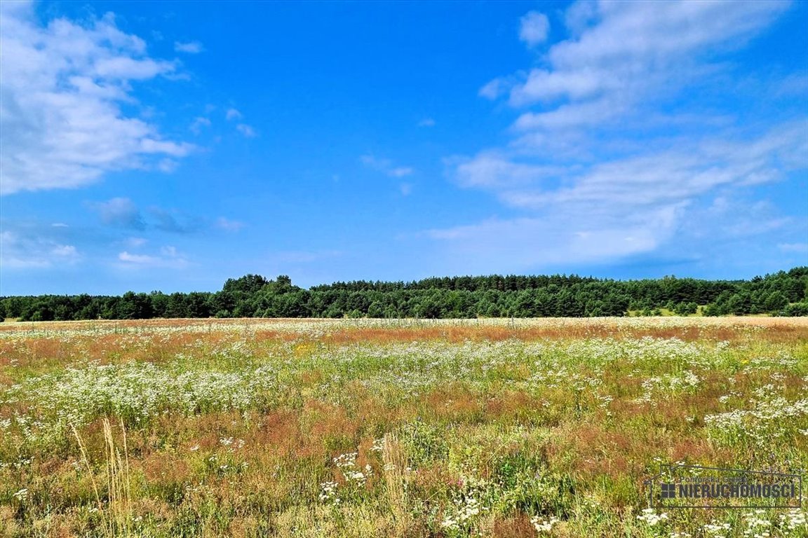 Działka budowlana na sprzedaż Dołgie  656m2 Foto 12