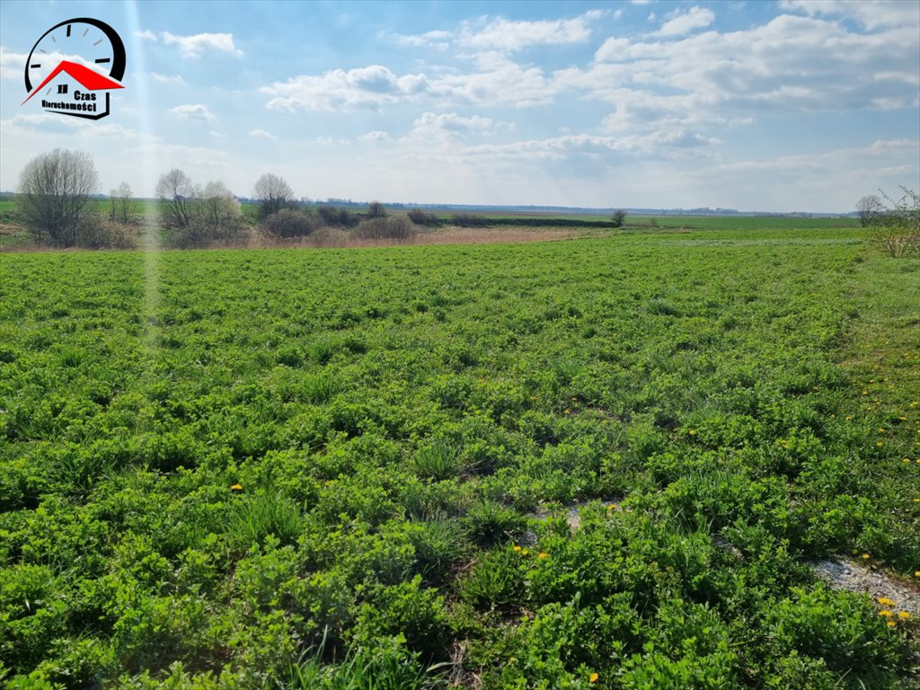 Działka budowlana na sprzedaż Szubin  3 743m2 Foto 5