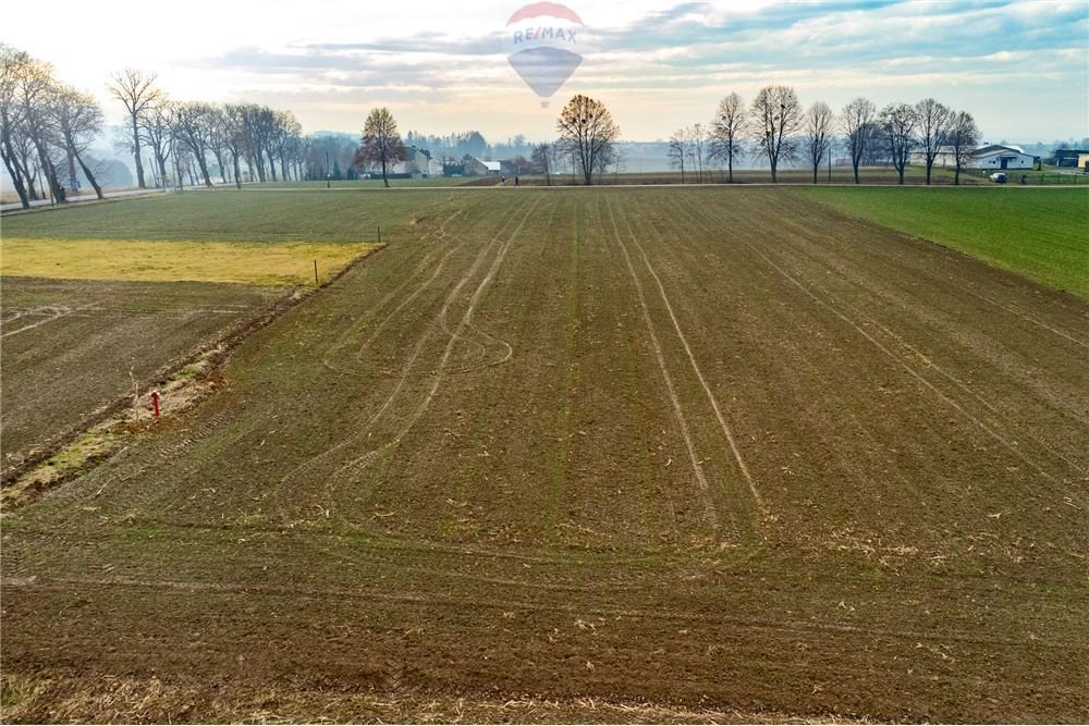Działka budowlana na sprzedaż Dębowiec  1 025m2 Foto 5