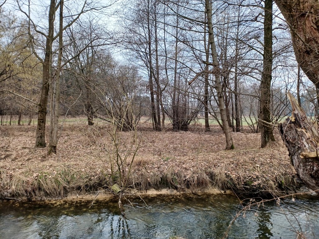 Działka budowlana na sprzedaż Ochaby Wielkie  15 747m2 Foto 8