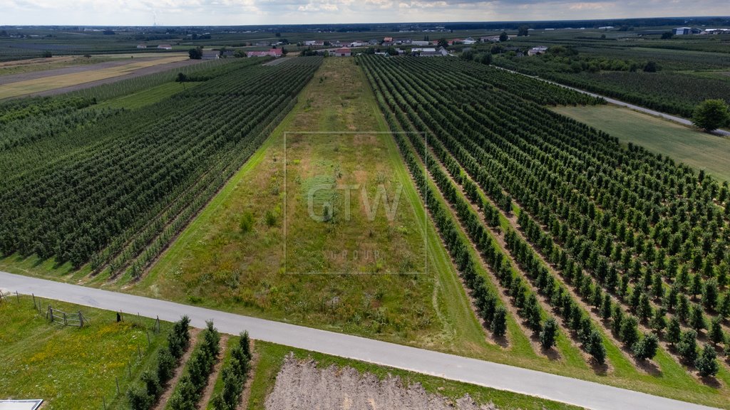 Działka budowlana na sprzedaż Martynów  1 499m2 Foto 2