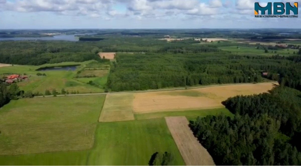 Działka budowlana na sprzedaż Bogacko, Bogacko  3 005m2 Foto 5