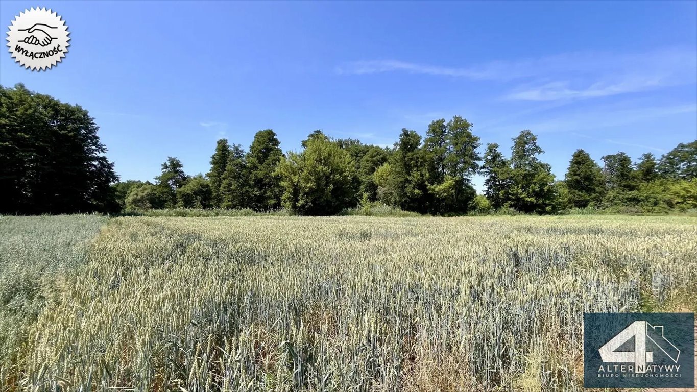 Działka z WZ w Bolimowskiej Wsi - spokojna okolica, zapraszam Bolimowska Wieś  2 352m2 Foto 1