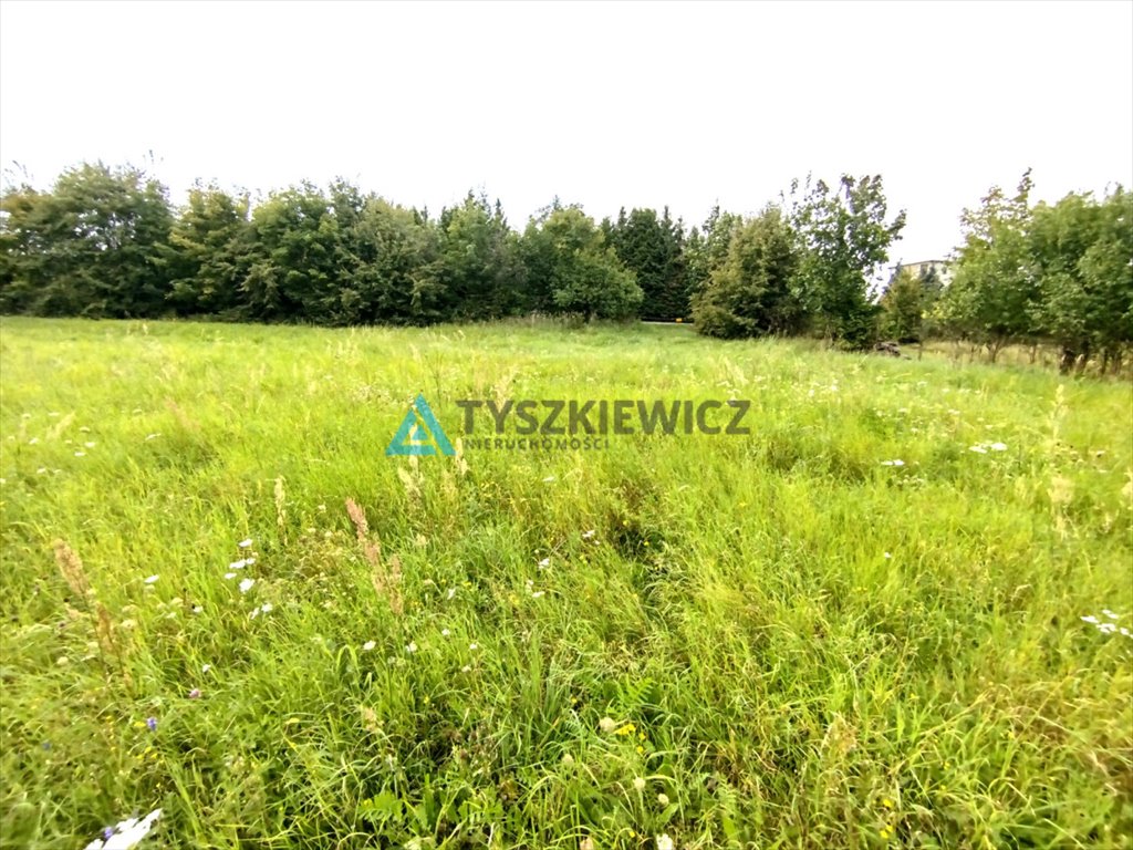 Działka rolna na sprzedaż Bielkówko, Miechucińska  7 300m2 Foto 5