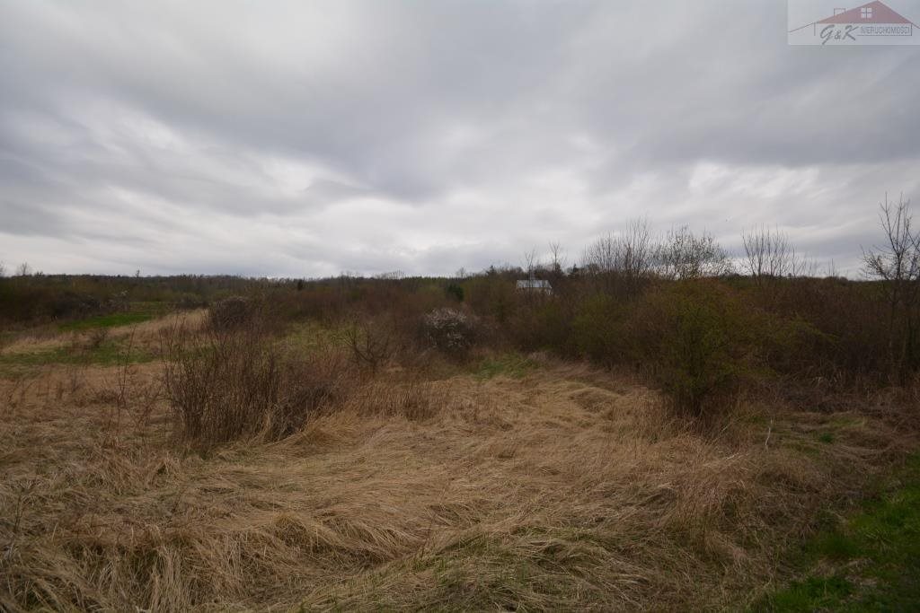 Działka rekreacyjna na sprzedaż Nowosiółki Dydyńskie 2 100m2 Foto 1 Działka rekreacyjna na sprzedaż Nowosiółki Dydyńskie 2 100m2 Foto 1
