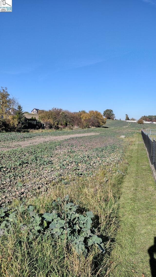 Działka budowlana na sprzedaż Świerklaniec  5 274m2 Foto 1