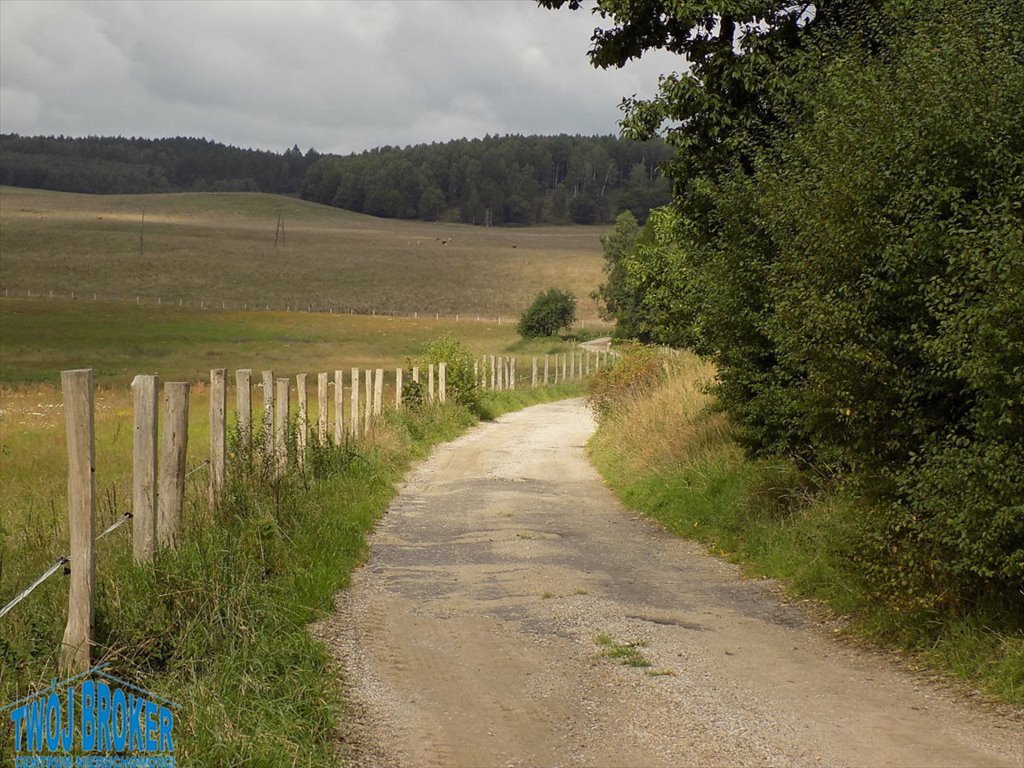 Działka 34 ha w otulinie lasu, wydobycie lub rekreacja - polecam! Rozłazino  342 160m2 Foto 1