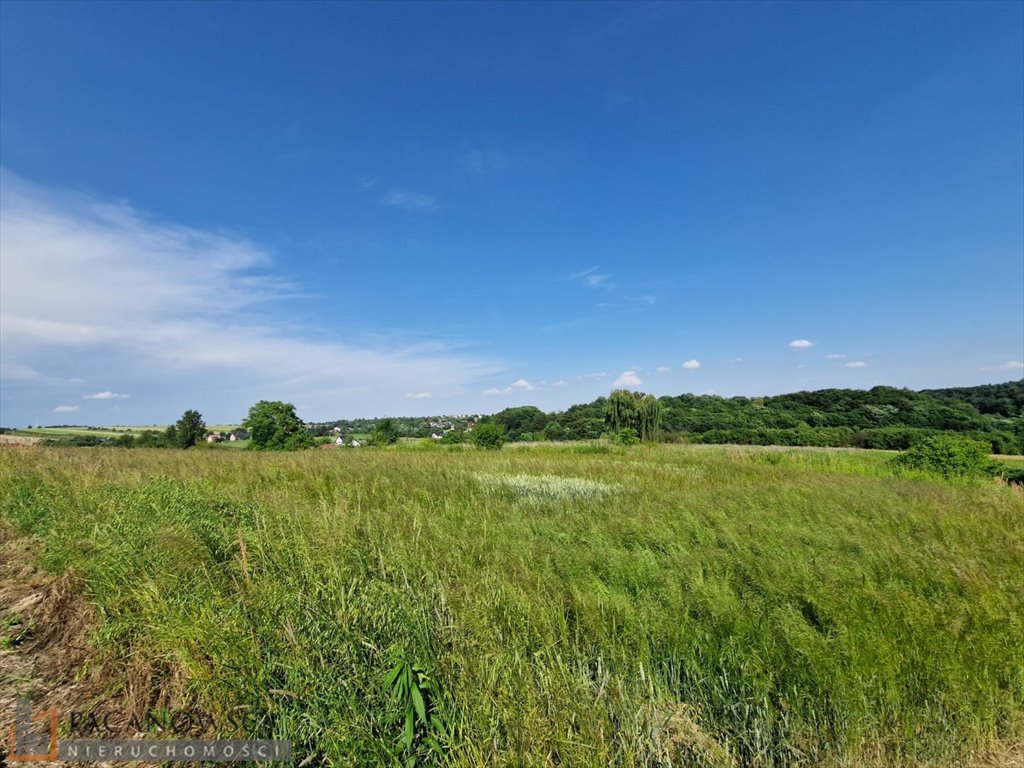 Działka inna na sprzedaż Cianowice Małe  4 870m2 Foto 2