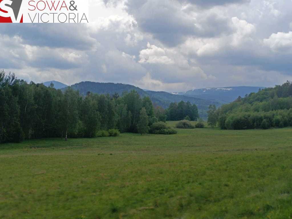 Działka inna na sprzedaż Głębock  79 700m2 Foto 11