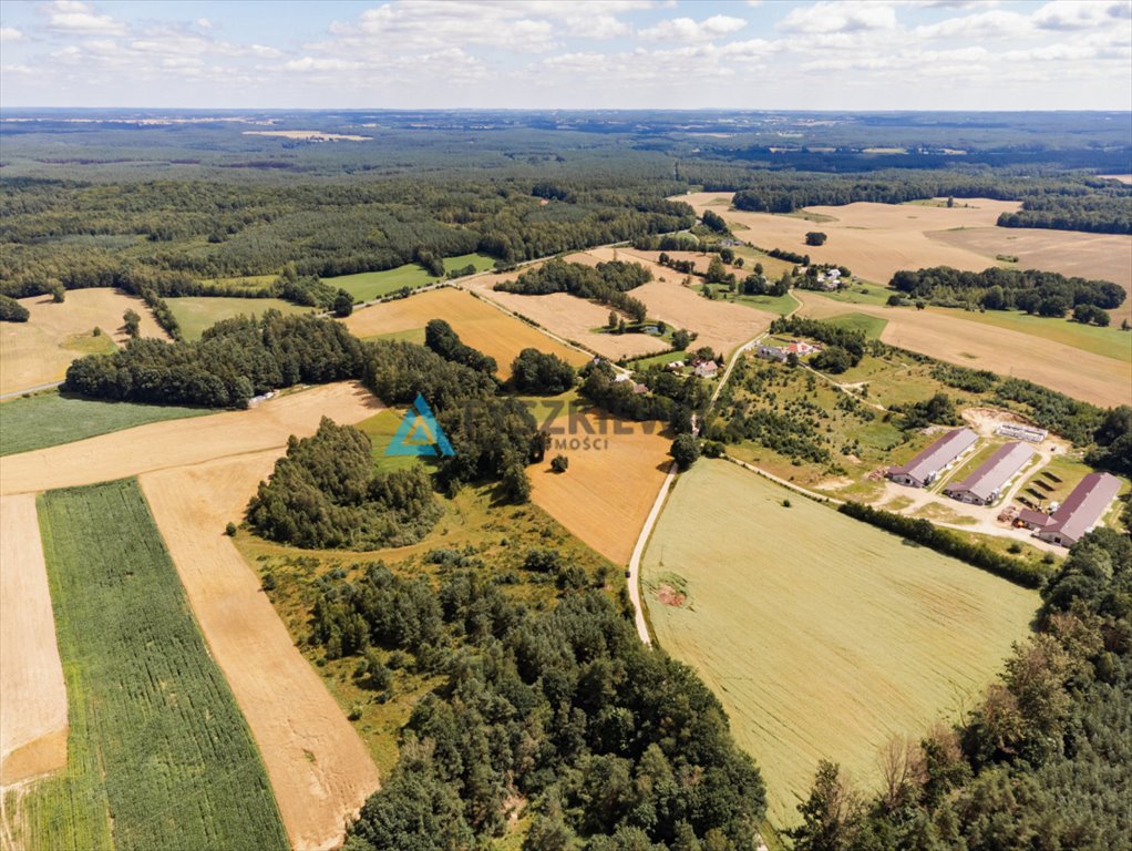 Działka rolna na sprzedaż Czarna Dąbrówka, Kaszubska  30 100m2 Foto 2