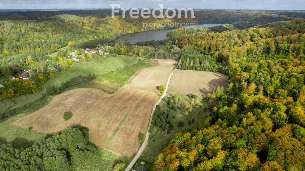 Działka budowlana na sprzedaż Klonowo Dolne, Głęboka  9 739m2 Foto 7