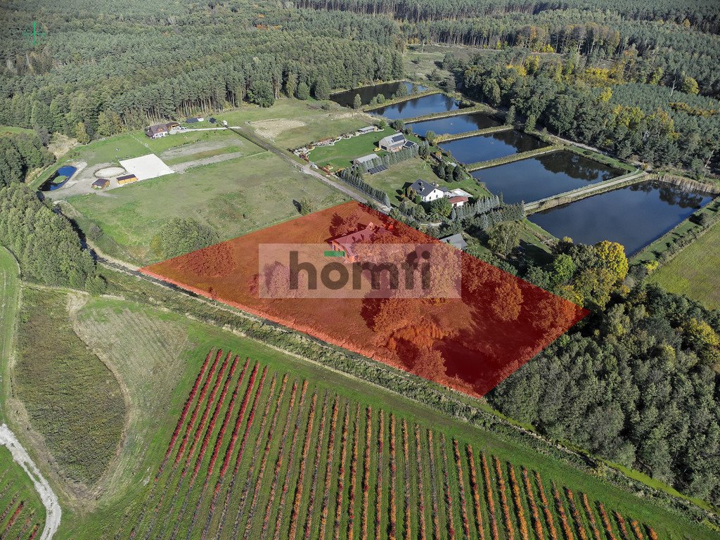 Działka budowlana na sprzedaż Śrem  10 810m2 Foto 13