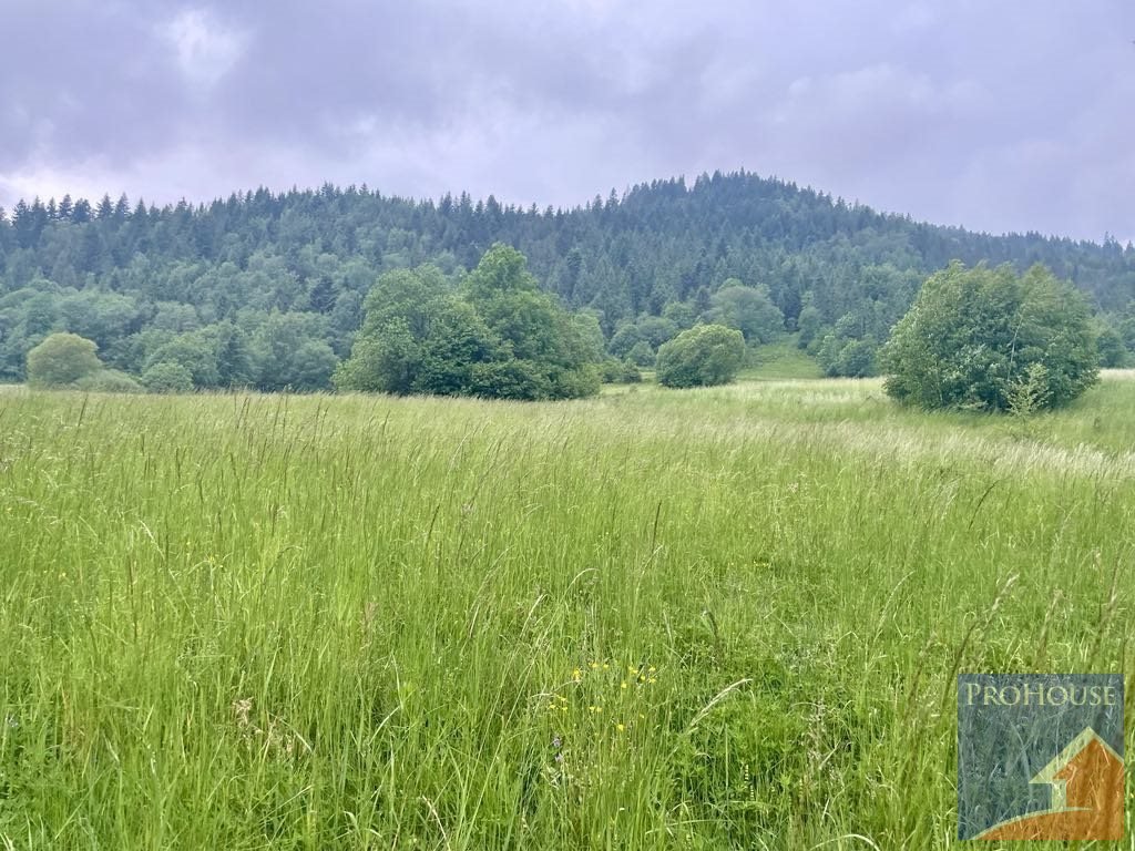 Działka rolna na sprzedaż Kamienica  5 600m2 Foto 10