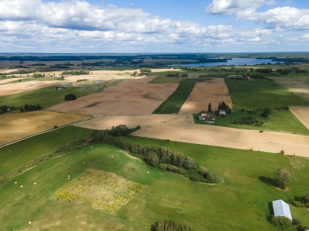 Działka rolna na sprzedaż Targowo  3 365m2 Foto 4