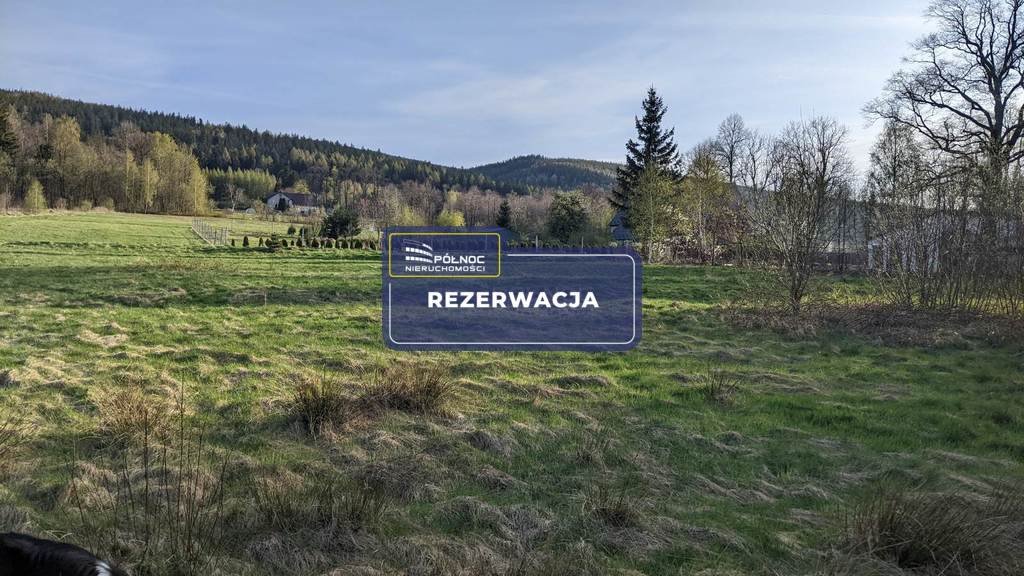 Działka budowlana na sprzedaż Świeradów-Zdrój, Długa  2 000m2 Foto 1