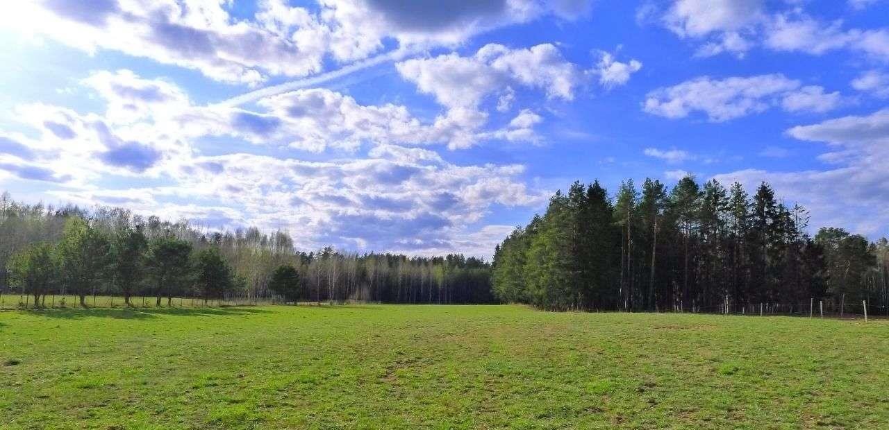 Działka rolna na sprzedaż Walne  3 500m2 Foto 2