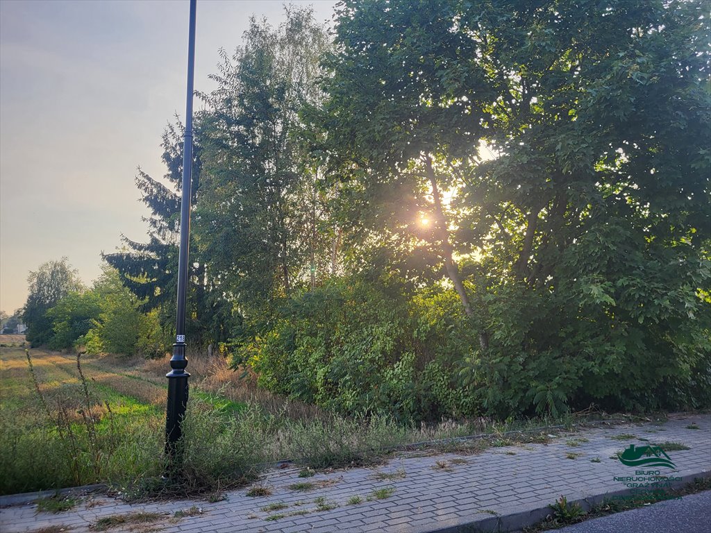 Działka rolna na sprzedaż Ciechocinek  2 600m2 Foto 3